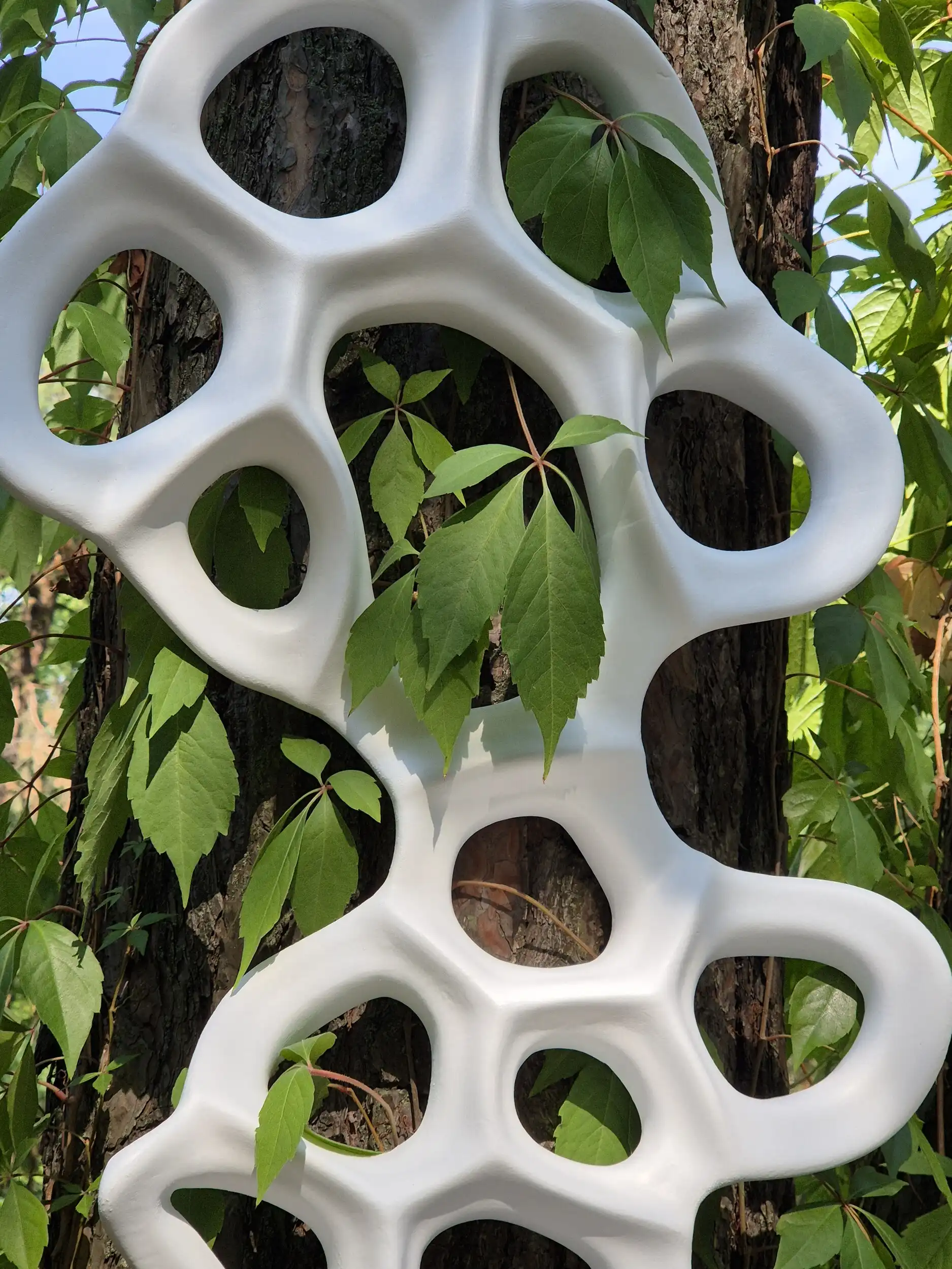 twardo-art – 20240905 105949