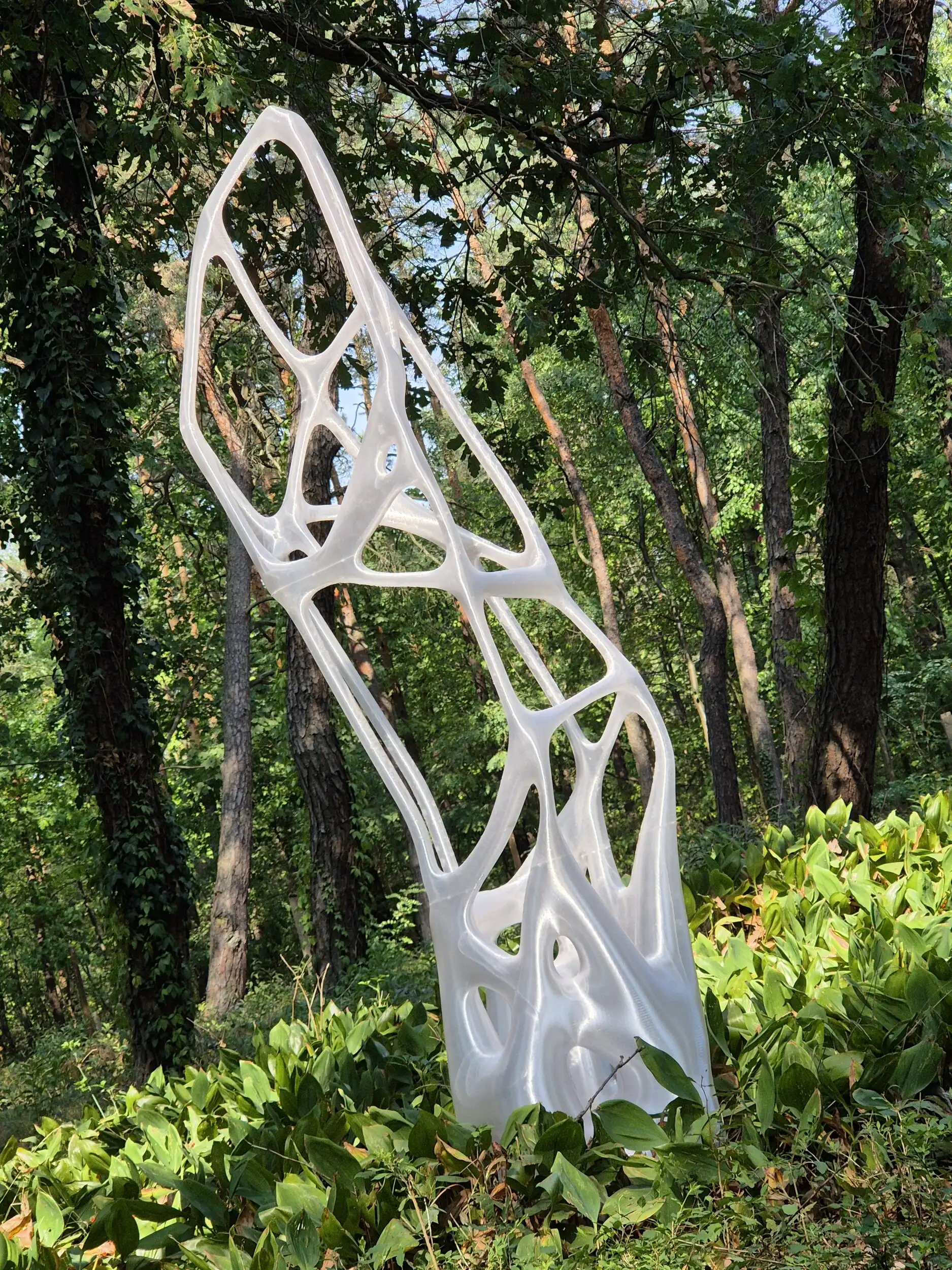 twardo-art – 20240905 111447