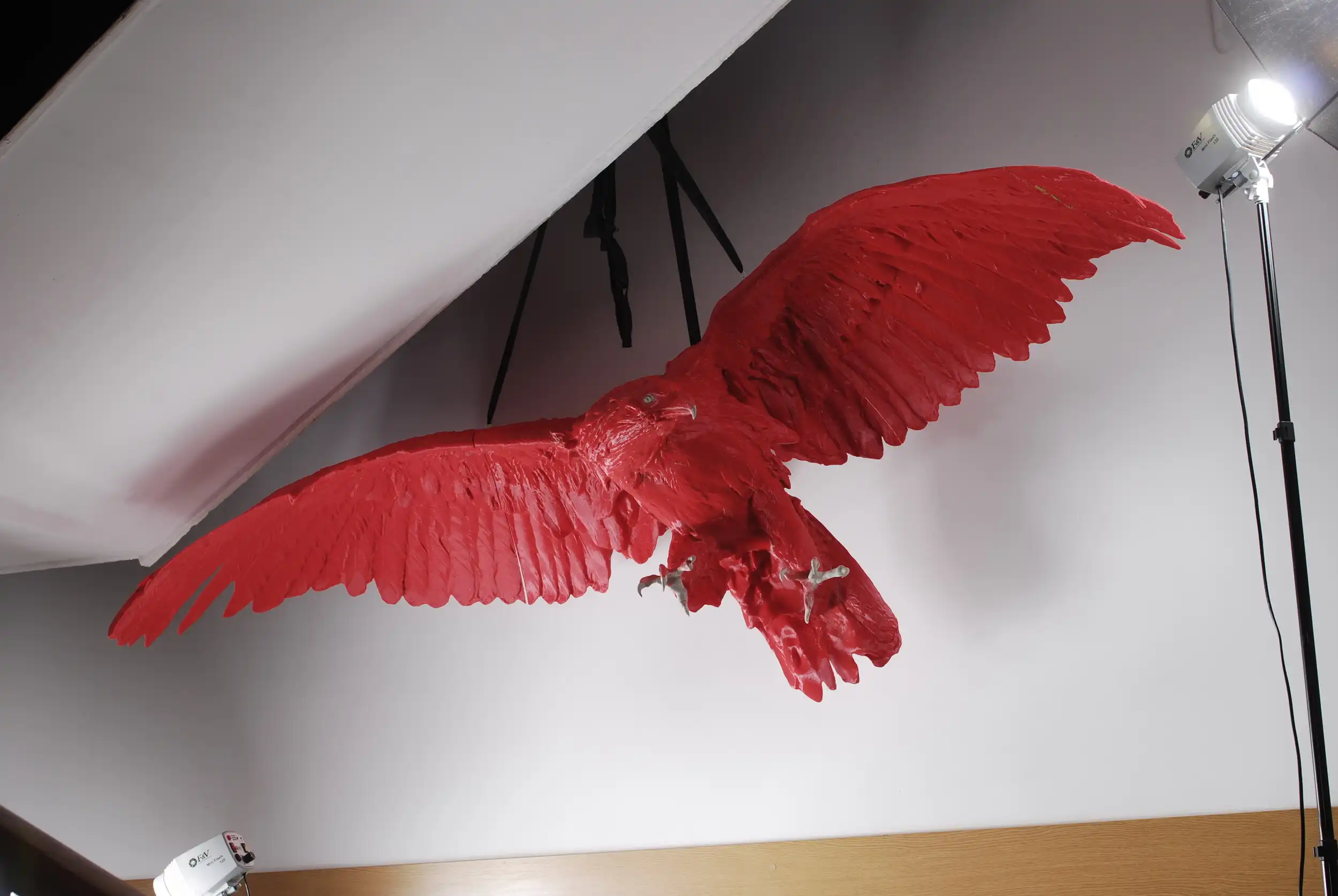 Bielik – orzel niepomalowany