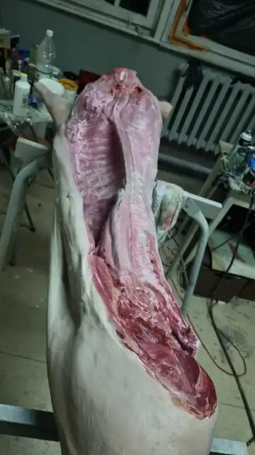 Rzeźnia – swinia pomalowana skos