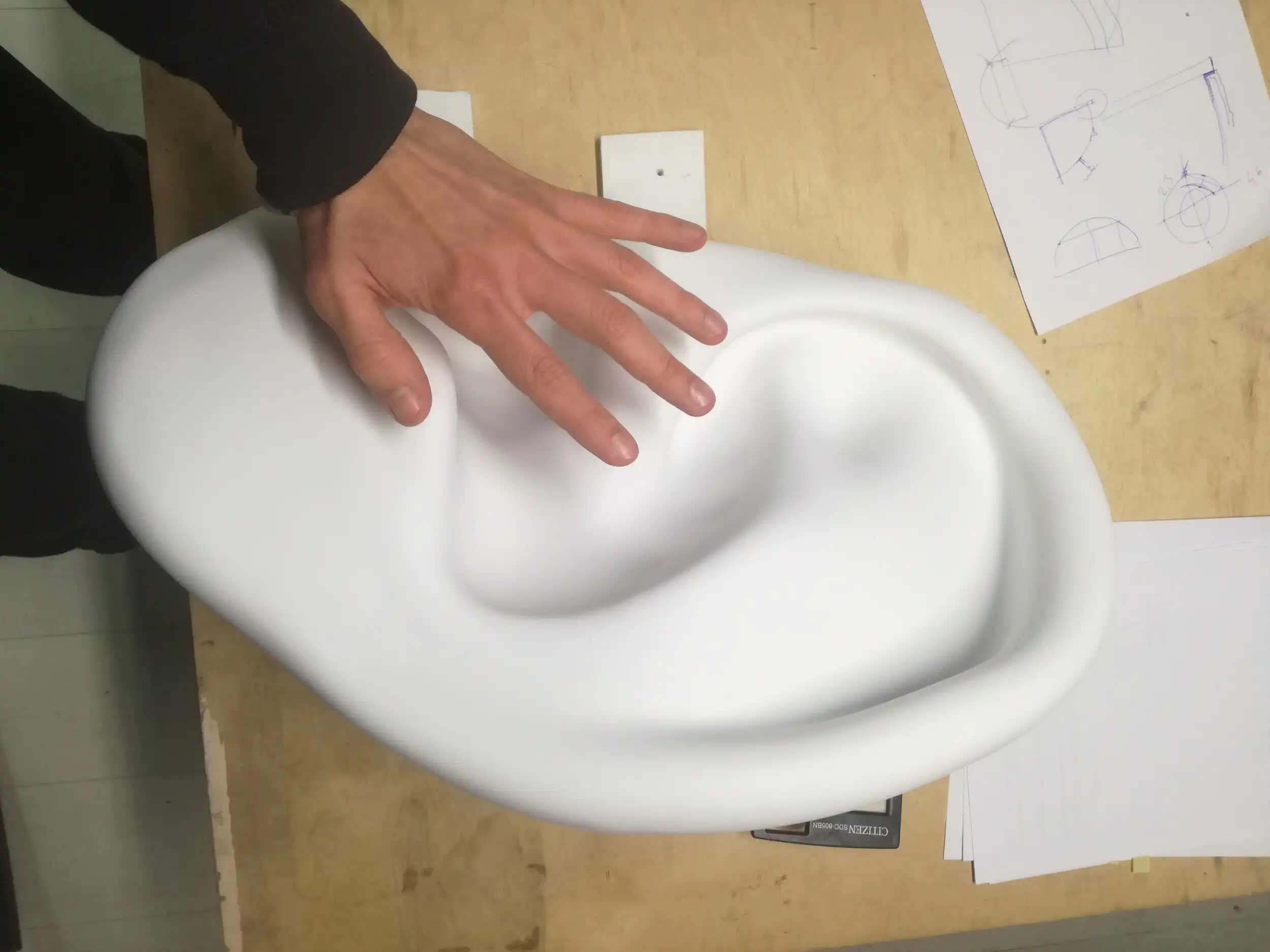 Giant Ear – ucho 1